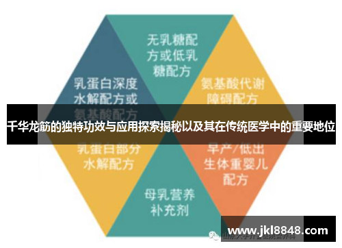 千华龙筋的独特功效与应用探索揭秘以及其在传统医学中的重要地位